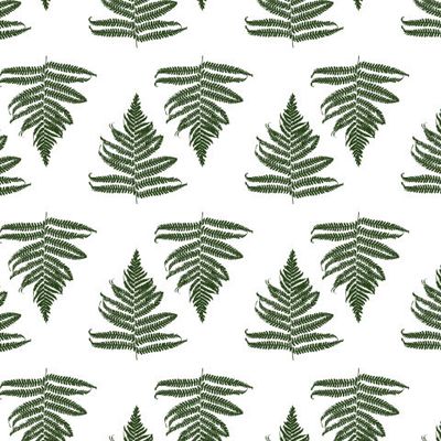 Листья папоротника на белом