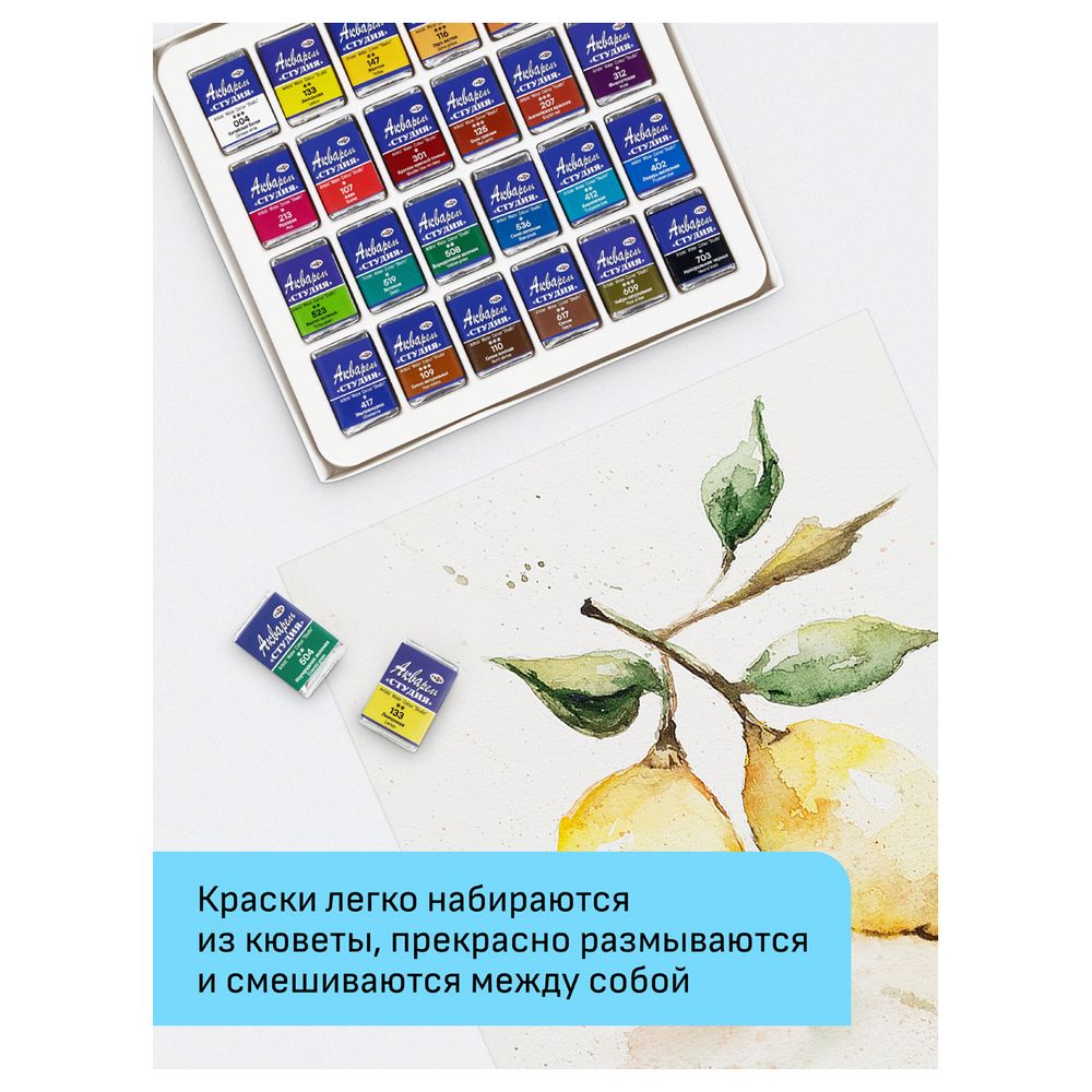 Краски акварельные художественные 24цв. Гамма Студия, кюветы