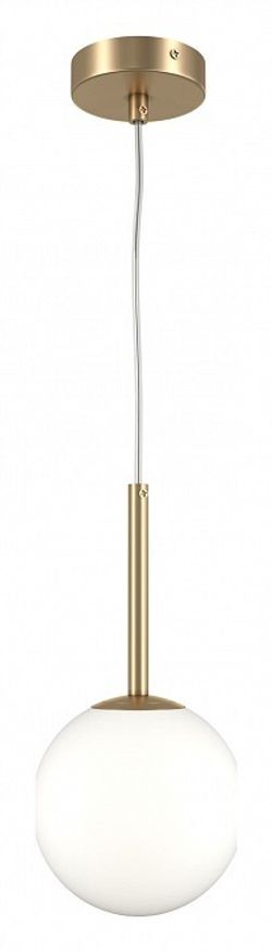 Подвесной светильник Maytoni Basic form MOD321PL-01G1