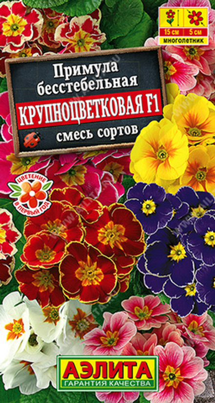 Примула Крупноцветковая F1, смесь сортов 7шт Аэлита