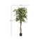 Ficus Искусственное дерево фикус в черном горшке 180 см