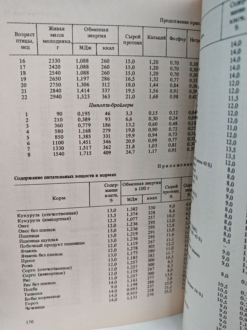 Производство бройлеров