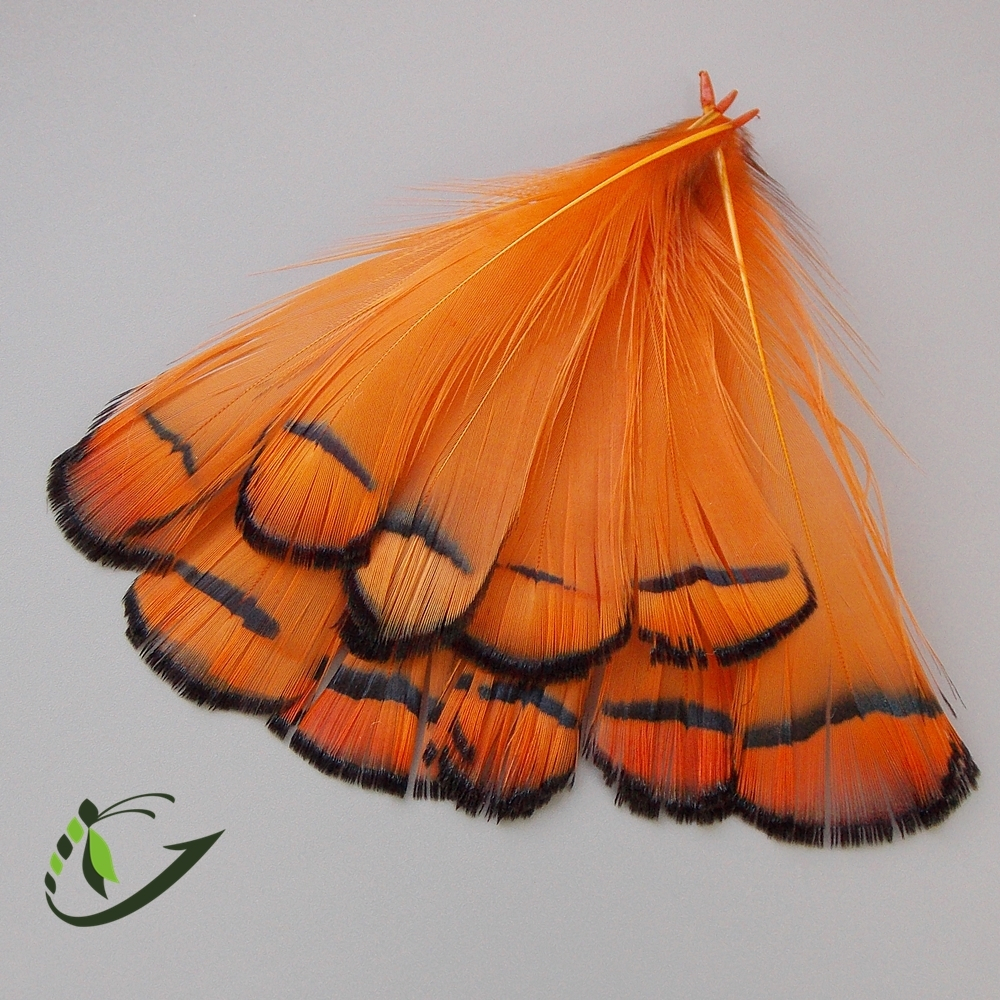 Шейные перья алмазного фазана Amherst Pheasant Tippets (10 шт)