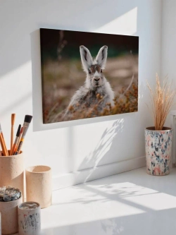 Картина на стену 40 X 50 Заяц