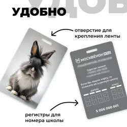 Карта Москвёнок BUNNY №1 (проход + питание)