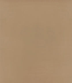 Рулонные шторы Блэкаут Латте