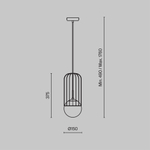 Подвесной светильник Maytoni P362PL-01G