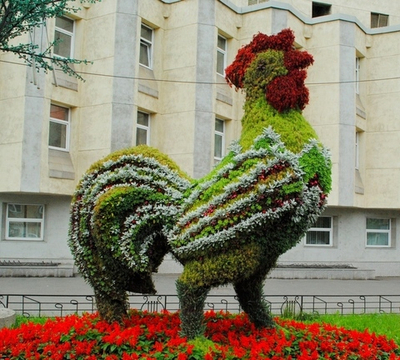 Топиарная фигура Петух