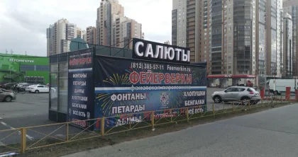 Санкт-Петербург, улица Савушкина, 116