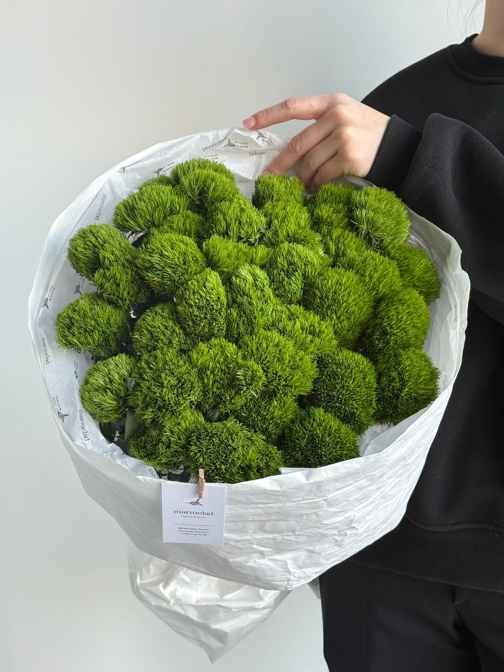 Моно букет из диантусов сорта Грин трик 35 шт