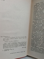 Леонардо да Винчи (ЖЗЛ)