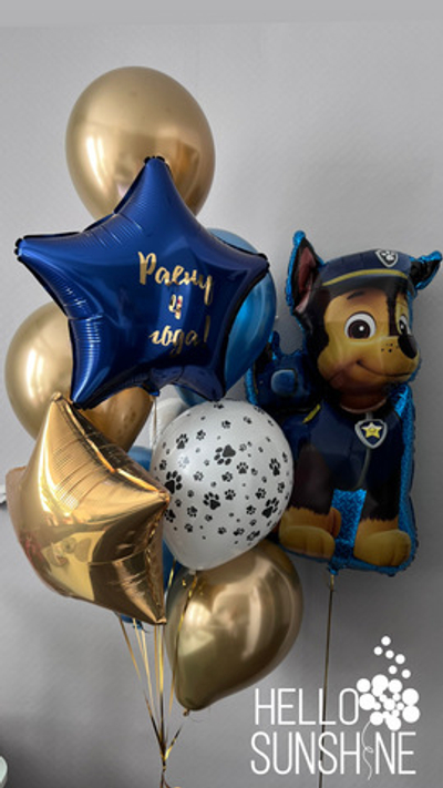 Сет Чейз из Щенячьего Патруля