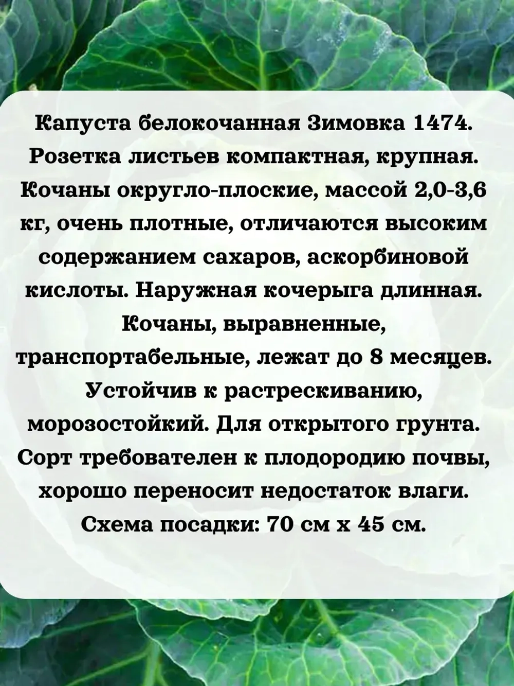 Семена Капуста набор микс 8 шт