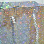 Пакет бумажный 18*23+10см с ручками Голография микс MG213-214