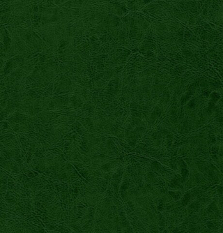 Искусственная кожа Остин грин (Ostin green)
