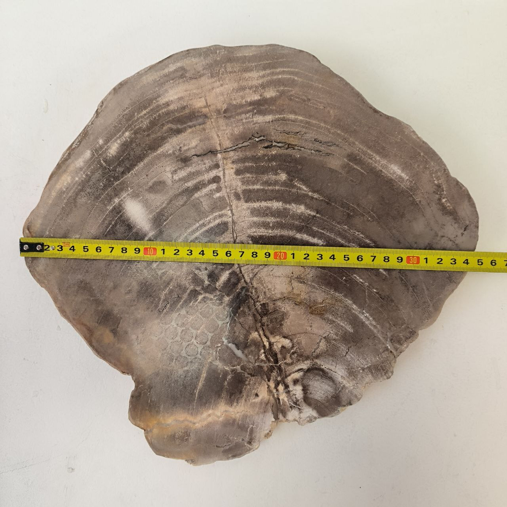 Набор из окаменелого дерева 4 предм Fossil Set NF-63287 поднос 149
