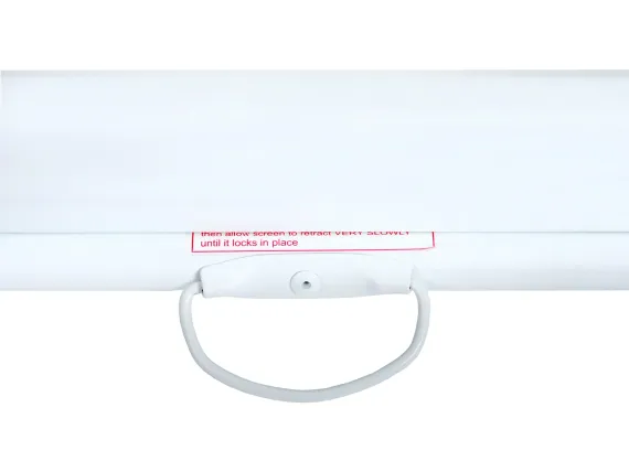 Уценка [LEP-100113] Настенный экран Lumien Eco Picture