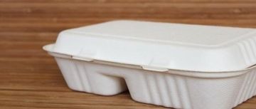 Одноразовый ланчбокс 2х секционный