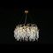 Подвесная люстра Aployt Gertunia APL.847.03.13