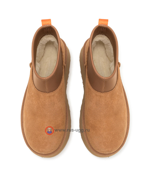 MINI DIPPER Chestnut