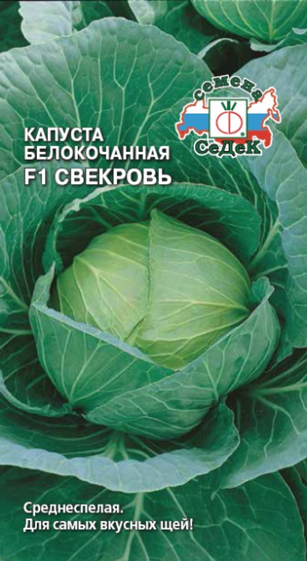 капуста  Свекровь F1