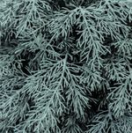 Голубая Туя искусственная (Литая хвоя) 60 см \ 90 см