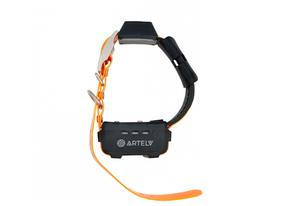 GPS-ошейник ARTELV COLLAR