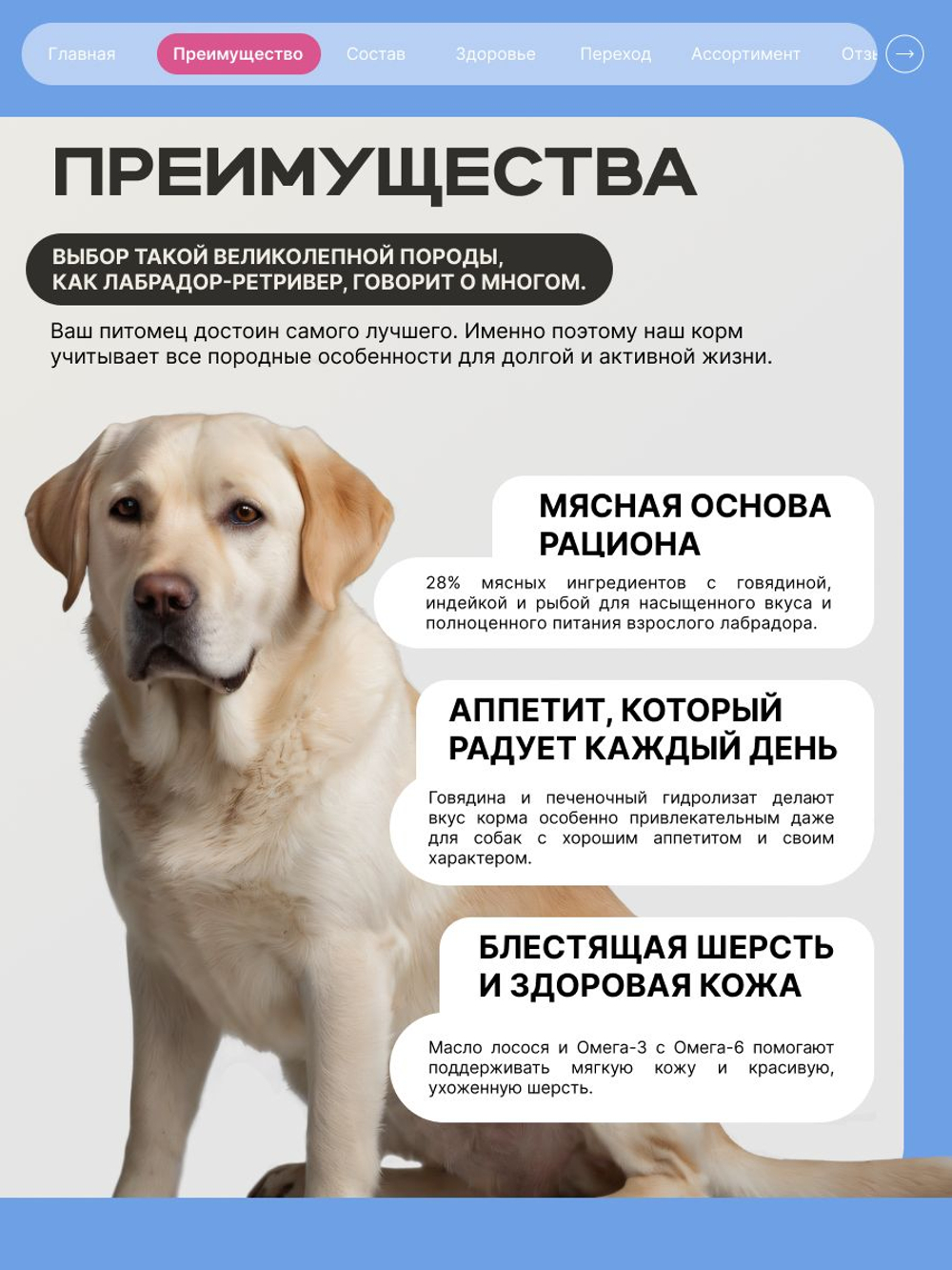 Корм сухой для взрослых собак породы Лабрадор-ретривер, премиум полнорационный комплекс, с говядиной, 12 кг, QUATTRO