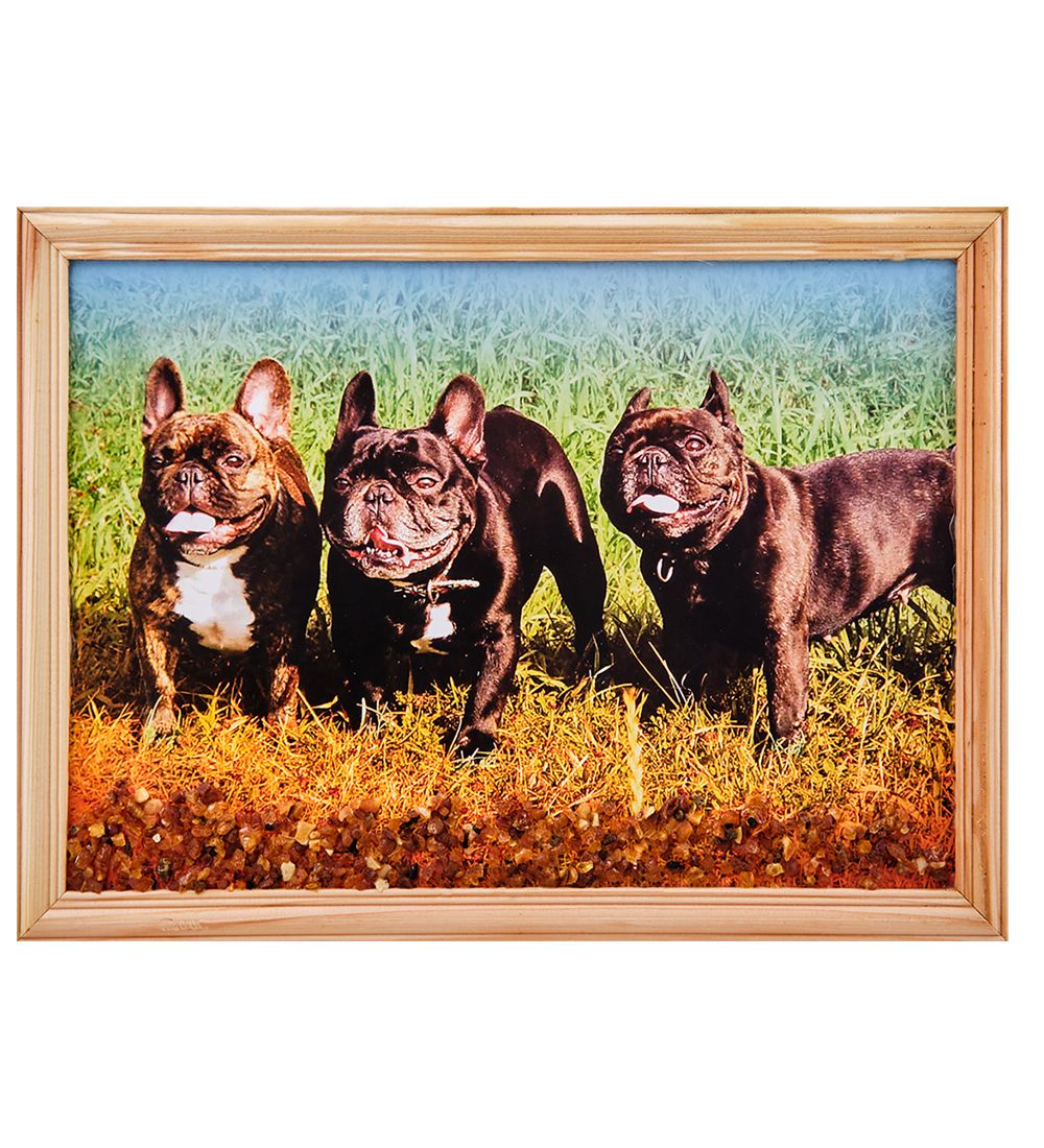 AMB-51/56 Картина «Французские бульдоги» (с янтарной крошкой) дер.рамка 21х30
