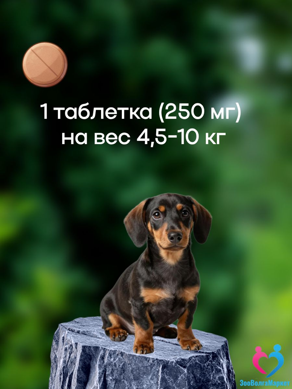 Рабектра 500 мг жевательная таблетка против блох и клещей для собак весом 10-20 кг, 1 таблетка