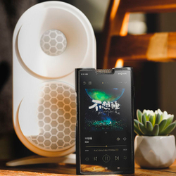 Портативный аудиоплеер Shanling M8T Black