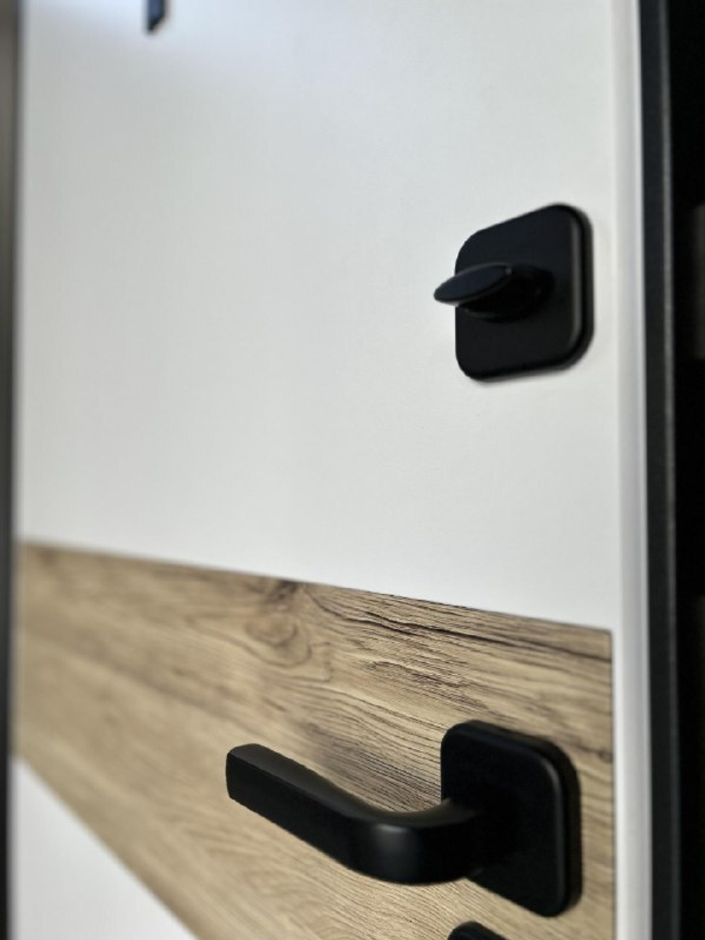 Дверь входная Бруно