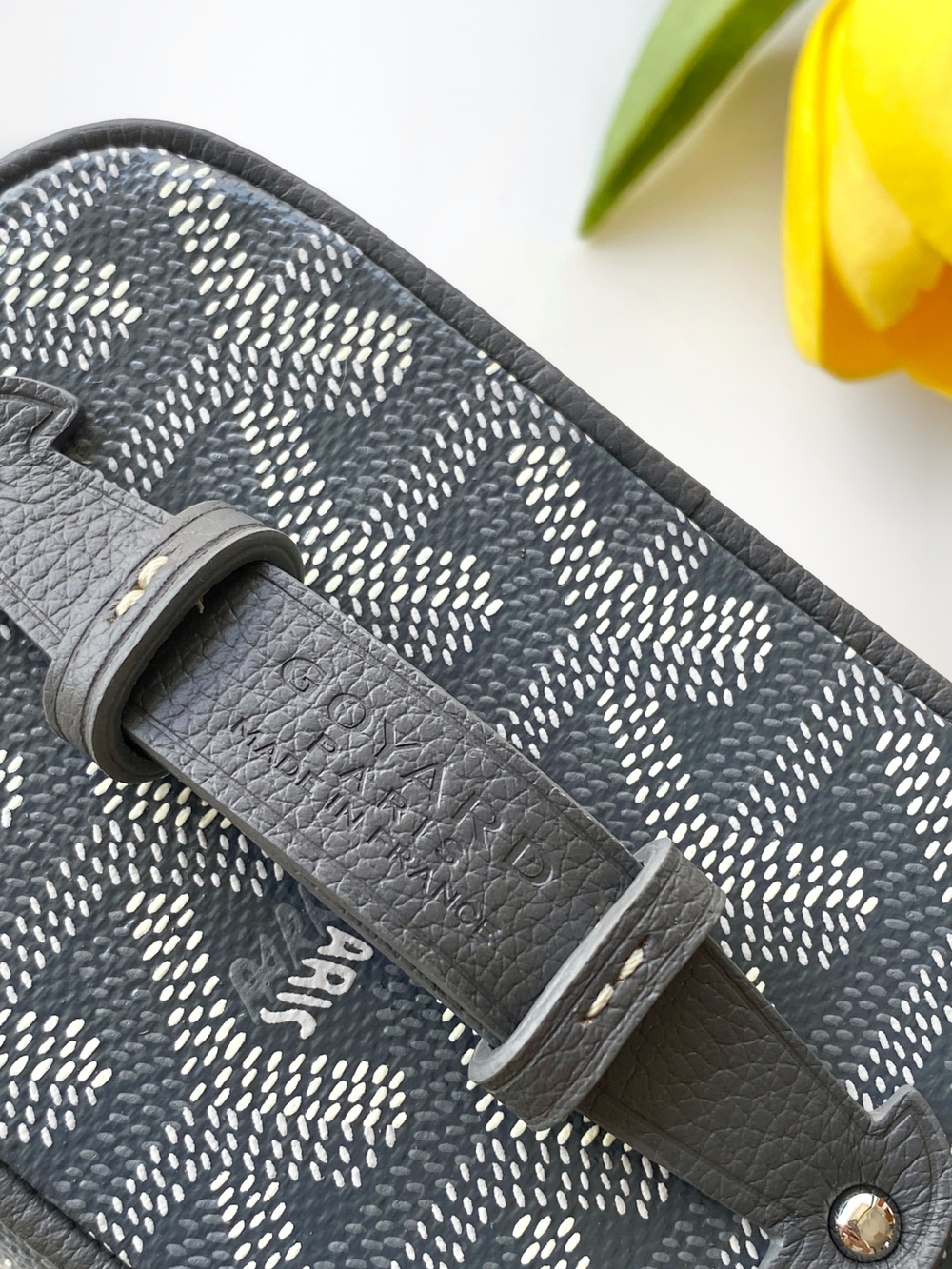 Goyard Muse Nano Vanity