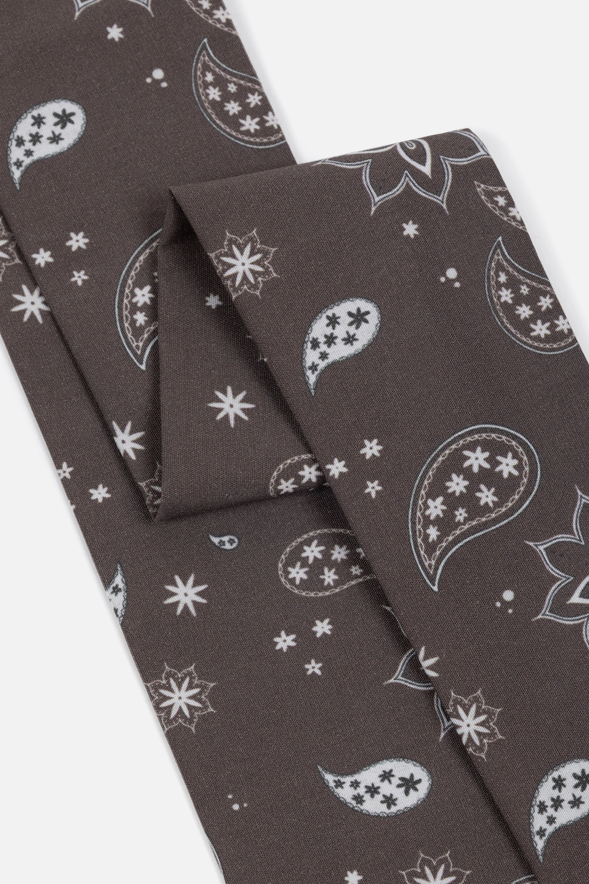 Твилли Paisley