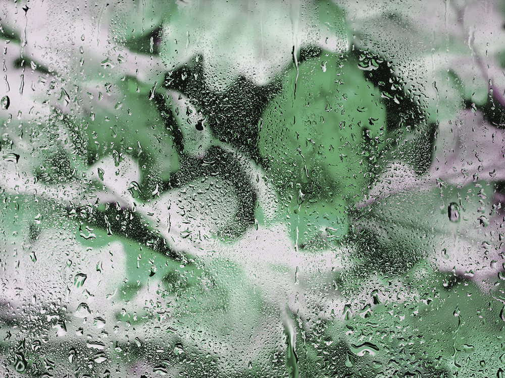 Коллекция GREENDAY 22