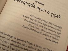 Qırmızı damlı malikanədə qətl