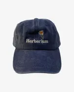 Кепка Гербарий Ромашка темно-синяя