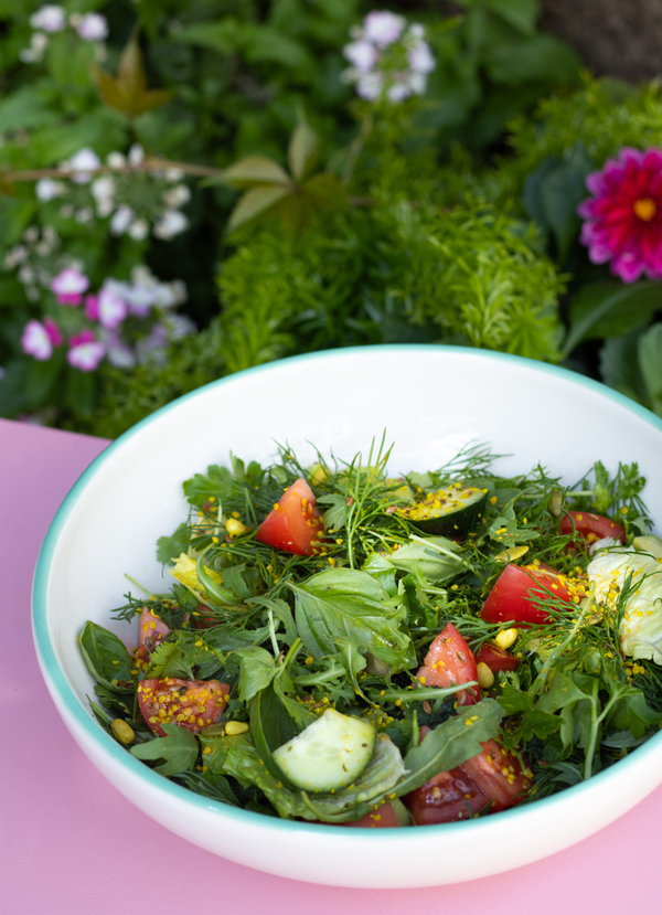 "STEFAN SALAD" new