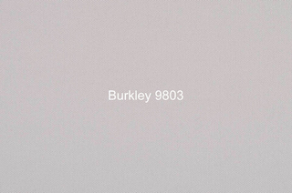 Шенилл Burkley (Баркли) 9803