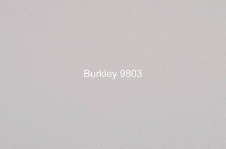 Шенилл Burkley (Баркли) 9803