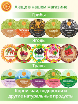 Мята длиннолистная, 1 пучок