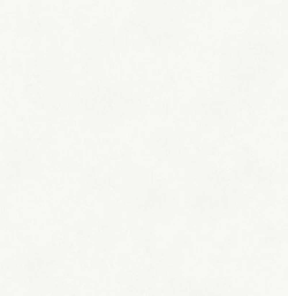 Обои матовые с иммитацией штукатурки BLONE1021