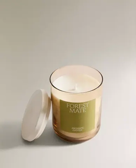 ZARA HOME Ароматическая свеча «Лесной мате»