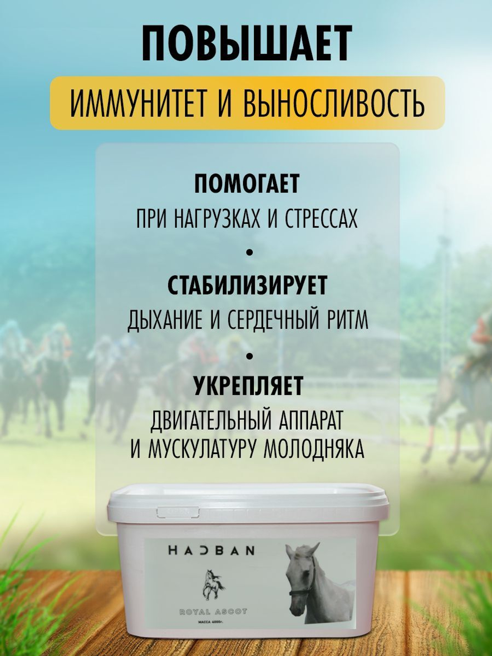 премикс для лошадей кормовая добавка