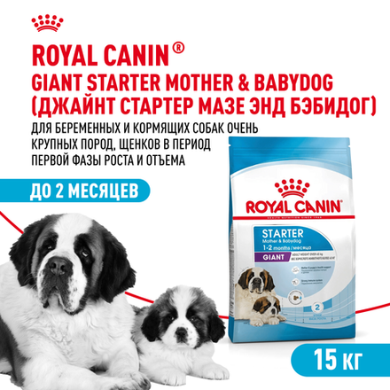 Royal Canin Giant Starter Mother & Babydog Джайнт Стартер Мазе энд Бебидог Корм для щенков гигантских пород в период первой фазы и отъема 15кг
