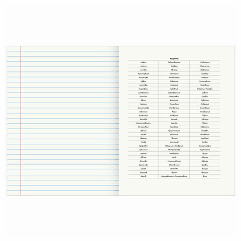 Тетрадь предметная "КЛАССИКА NATURE" 48 л., обложка картон, РУССКИЙ ЯЗЫК, линия, BRAUBERG, 404589