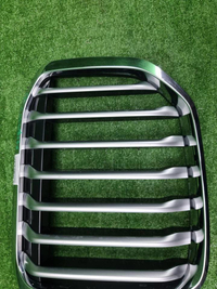 Решетка радиатора BMW X7 G07 (2019-2022)