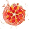 Картридж SOAK Q Ruby Grapefruit / Рубиновый грейпфрут