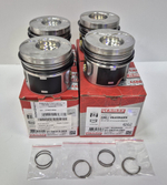 Поршни с кольцами +0.50 1.9 TDI AXC, AVF, AWX Yenmak