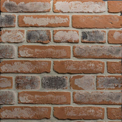 Облицовочная плитка Petra Скандинавский кирпич 10П1, 250-260х60-70х15 мм